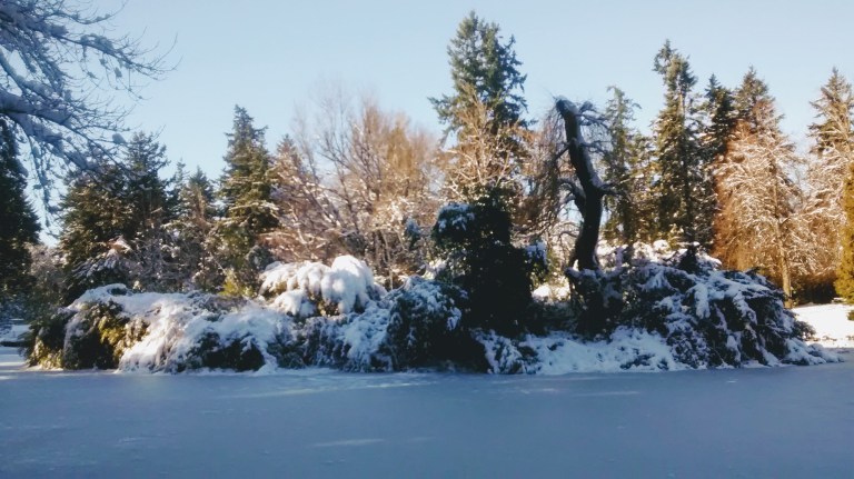 IMG_20170112_135214425