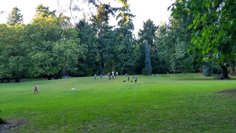 IMG_20170926_181825031_HDR