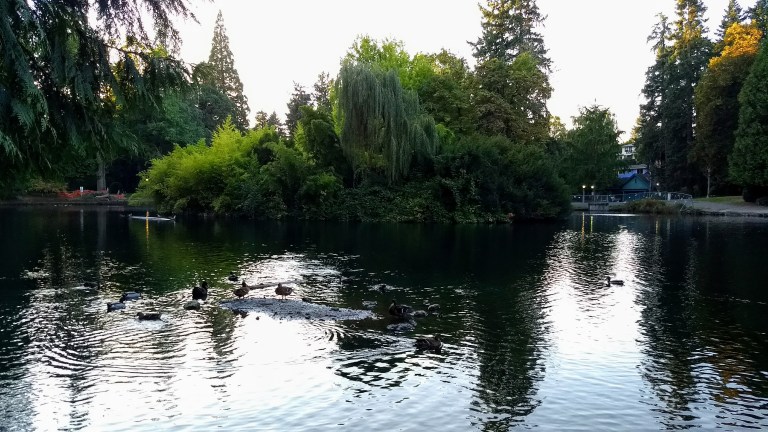 IMG_20170926_183334930