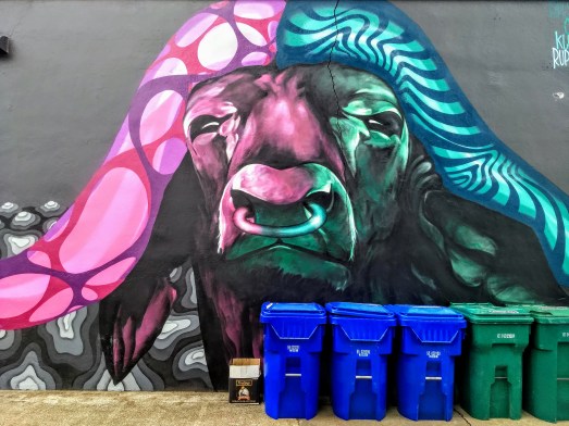 IMG_20190323_155659185