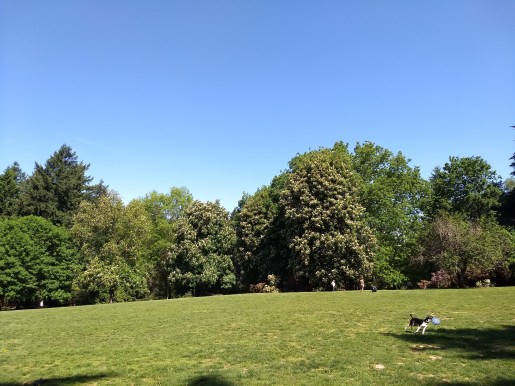 Creston-Kenilworth Park