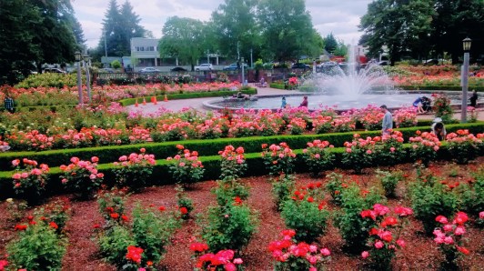 IMG_20170604_134632117