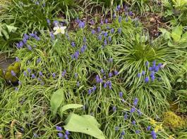 image(2)