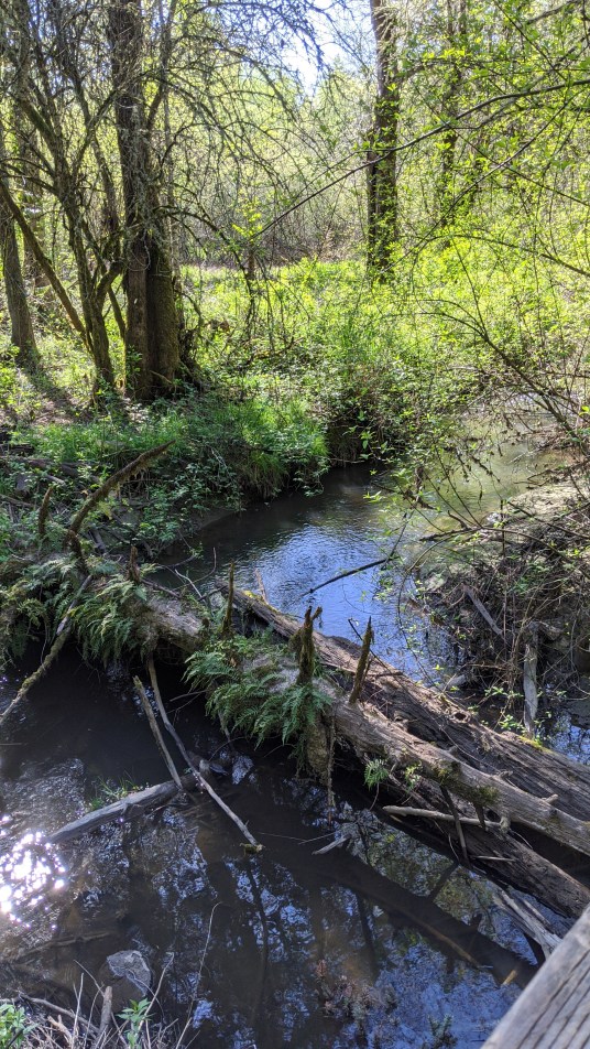 MVIMG_20200416_160517