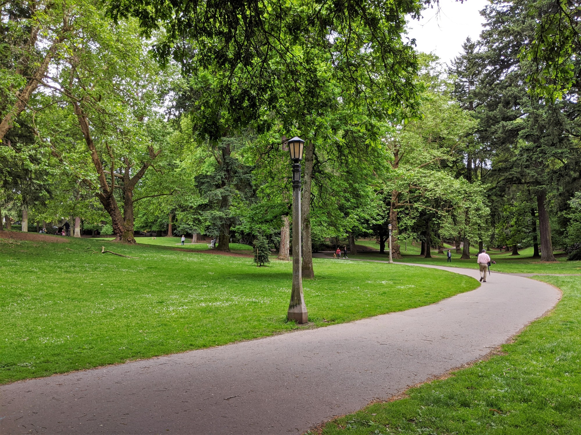 Laurelhurst Park pathway + grass