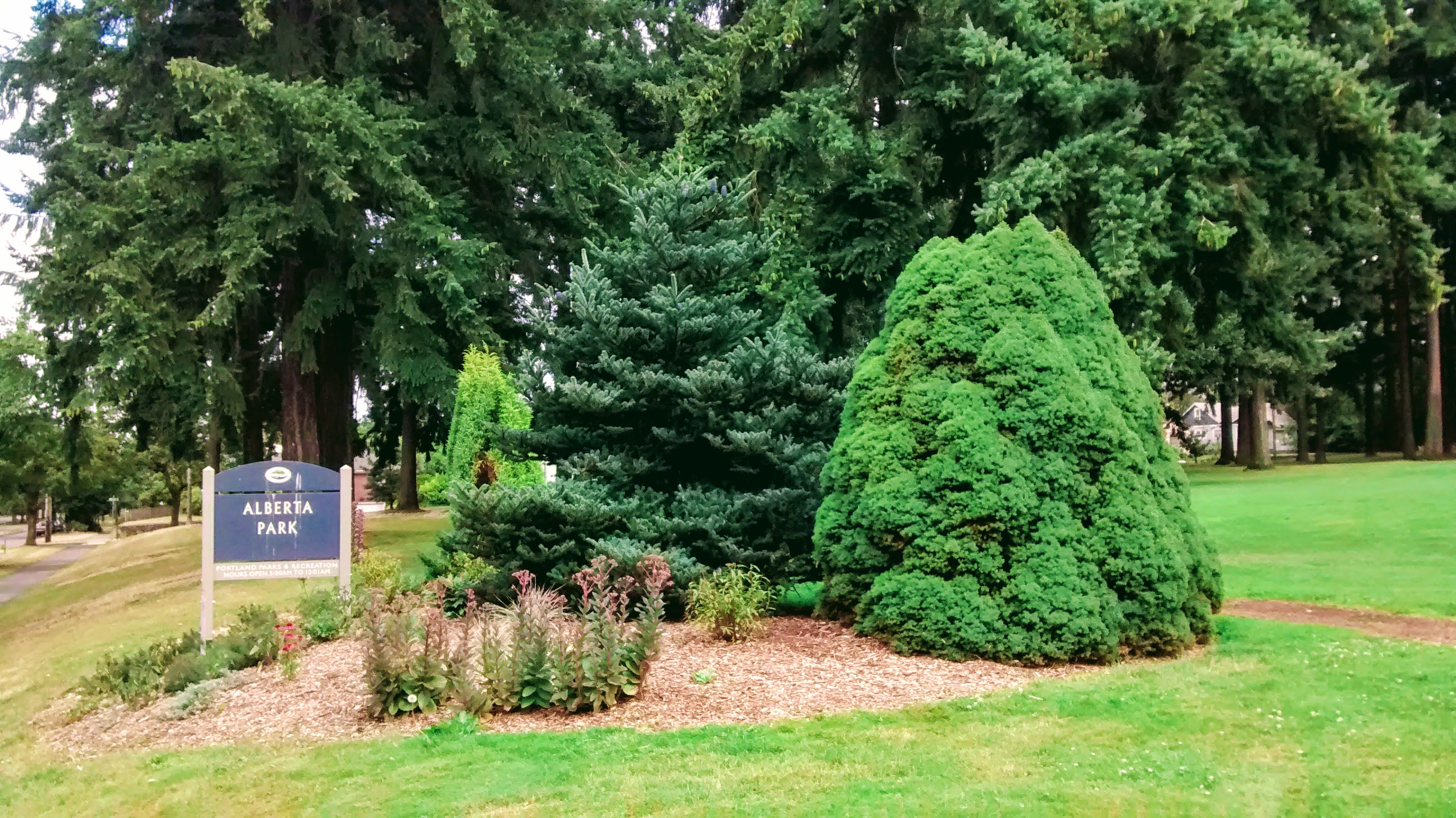 Alberta Park sign with green grass, a bush a tree and flowers