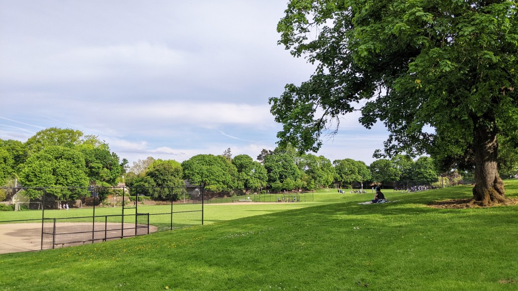 Green grass and baseball field. Tree on right side