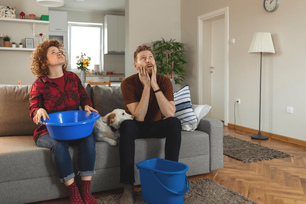woman and man and dog on couch worried about leaking roof